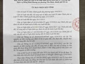 Giao Đất Đợt 8 Dự Án Khu Đô Thị Đông Bình Dương