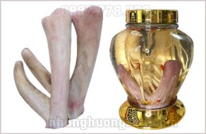Nhung Hươu Hương Sơn: Giá Cả, Chất Lượng Và Nơi Mua Uy Tín