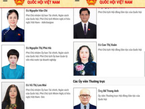 Và lãnh đạo tỉnh Bình Dương, lãnh đạo sở tài nguyên môi trường, lãnh đạo sở xây dựng.